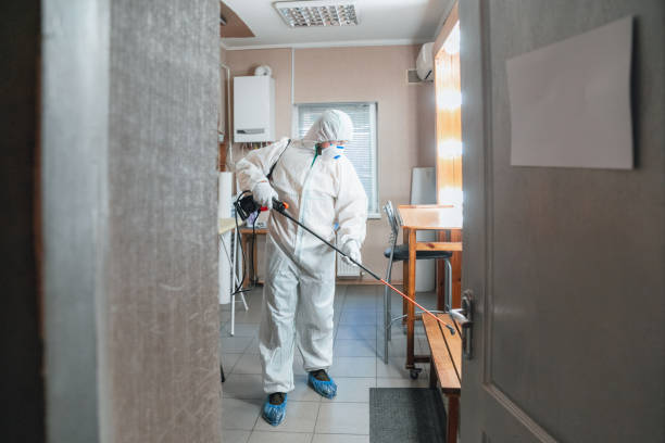 Best Black Mold Removal  in Lyman, WY