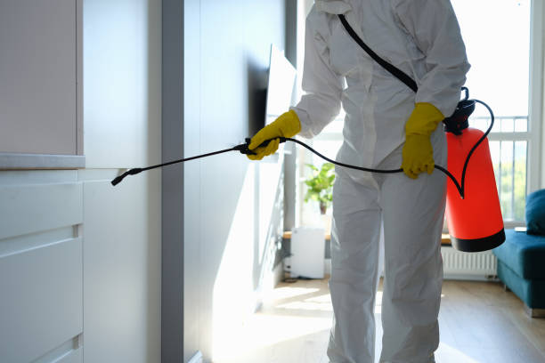 Best Basement Mold Removal  in Lyman, WY
