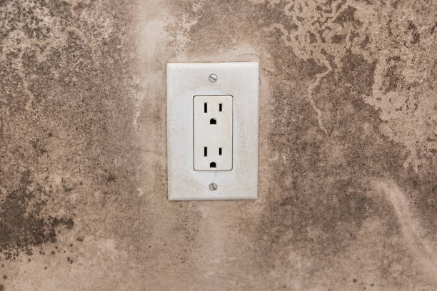 Best Mold Odor Removal Services  in Lyman, WY